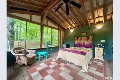 310 Cross Creek Drive, Cobden, IL 62920 - Photo 60