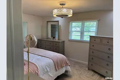 122 Paint Creek Lane, Carmi, IL 62821 - Photo 28