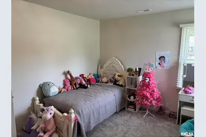 122 Paint Creek Lane, Carmi, IL 62821 - Photo 52