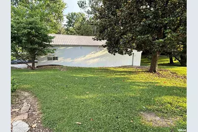 41 Cache Ave Avenue, Buncombe, IL 62912 - Photo 8