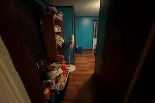 41 Cache Ave Ave, Buncombe, IL 62912 - Photo 24