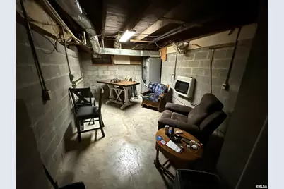 41 Cache Ave Avenue, Buncombe, IL 62912 - Photo 30