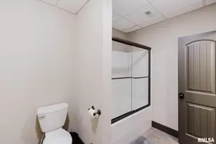 3525 Parrish Ridge Ln, Orangeville, IL 62939 - Photo 66