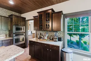 3525 Parrish Ridge Ln, Orangeville, IL 62939 - Photo 38