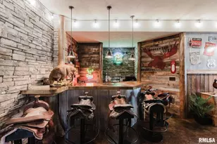 3525 Parrish Ridge Ln, Orangeville, IL 62939 - Photo 54