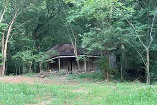 9049 Grassy Rd, Marion, IL 62959 - Photo 44