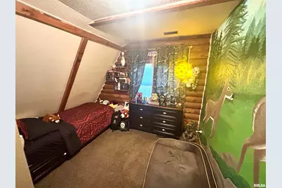 3638 Hotze Road, Salem, IL 62881 - Photo 30