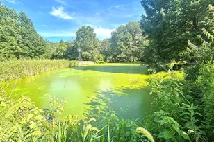 3638 Hotze Rd, Salem, IL 62881 - Photo 40