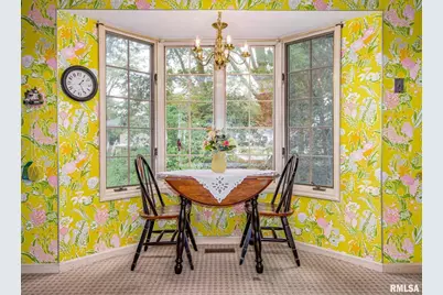 102 Lost Hollow Dr Drive, Salem, IL 62881 - Photo 24