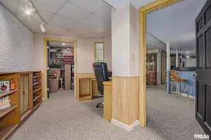 102 Lost Hollow Dr Dr, Salem, IL 62881 - Photo 38