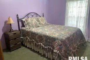 614 W College St St, Harrisburg, IL 62946 - Photo 12