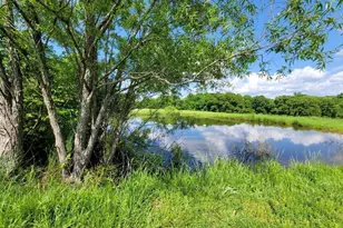 470 Washington Ln, New Burnside, IL 62967 - Photo 2