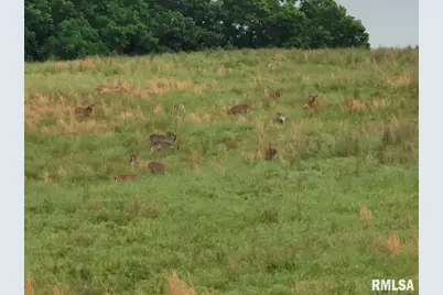 470 Washington Lane, New Burnside, IL 62967 - Photo 14