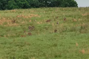 470 Washington Ln, New Burnside, IL 62967 - Photo 14