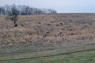 470 Washington Ln, New Burnside, IL 62967 - Photo 10