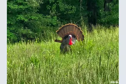 470 Washington Lane, New Burnside, IL 62967 - Photo 18