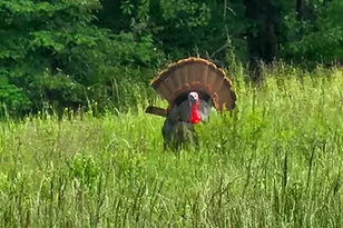 470 Washington Ln, New Burnside, IL 62967 - Photo 18