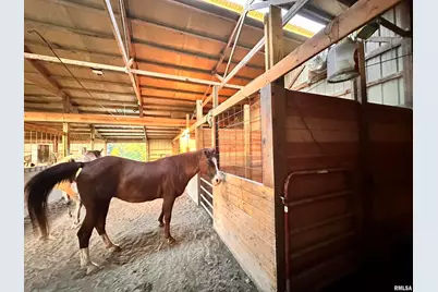 470 Washington Lane, New Burnside, IL 62967 - Photo 8