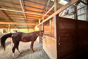 470 Washington Ln, New Burnside, IL 62967 - Photo 8