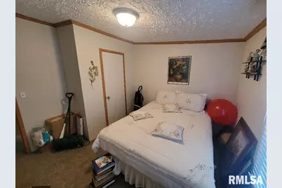 315 3rd Avenue, Grand Tower, IL 62942 - Photo 22