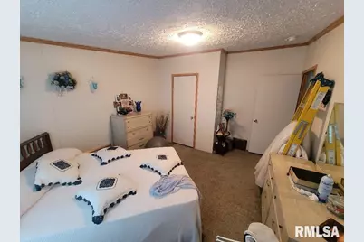 315 3rd Avenue, Grand Tower, IL 62942 - Photo 20