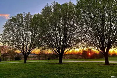 9855 N Route 37 Highway, Orangeville, IL 62939 - Photo 20