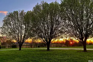 9855 N Route 37 Hwy, Orangeville, IL 62939 - Photo 20