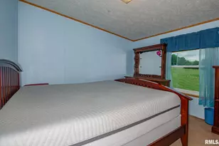 16807 Kendall Rd, Salem, IL 62864 - Photo 18