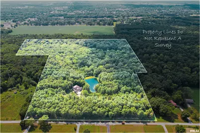 4331 Radio Tower Road, Salem, IL 62881 - Photo 4