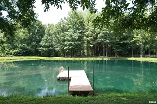 4331 Radio Tower Rd, Salem, IL 62881 - Photo 42