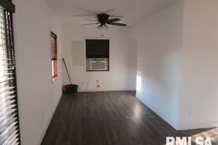 1506 Hillside Rd, Rosiclare, IL 62982 - Photo 10