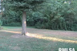 1506 Hillside Rd, Rosiclare, IL 62982 - Photo 24