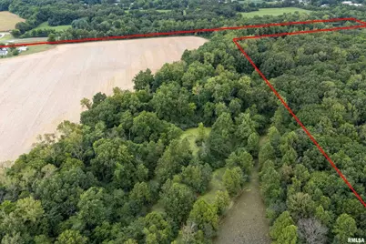 53 Private Road 1M Road, Desoto, IL 62924 - Photo 32