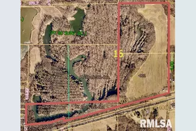 53 Private Road 1M Road, Desoto, IL 62924 - Photo 2