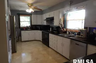 736 N Mill St, Carrier Mills, IL 62917 - Photo 8