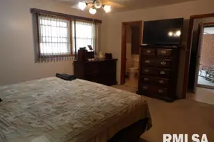 736 N Mill St, Carrier Mills, IL 62917 - Photo 22