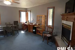 736 N Mill St, Carrier Mills, IL 62917 - Photo 14