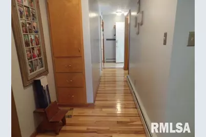 736 N Mill Street, Carrier Mills, IL 62917 - Photo 16