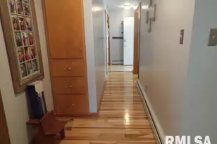 736 N Mill St, Carrier Mills, IL 62917 - Photo 16