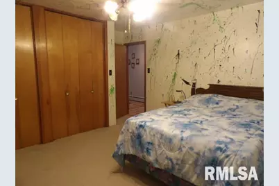 736 N Mill Street, Carrier Mills, IL 62917 - Photo 20