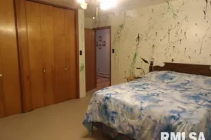 736 N Mill St, Carrier Mills, IL 62917 - Photo 20