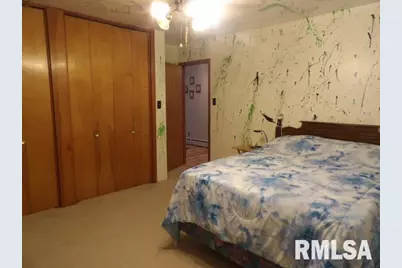 736 N Mill Street, Carrier Mills, IL 62917 - Photo 20