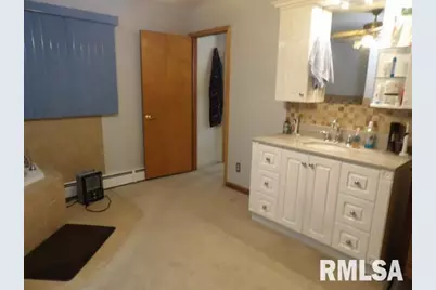 736 N Mill Street, Carrier Mills, IL 62917 - Photo 24