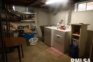 736 N Mill St, Carrier Mills, IL 62917 - Photo 28