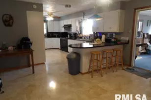 736 N Mill St, Carrier Mills, IL 62917 - Photo 10