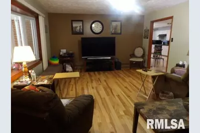 736 N Mill Street, Carrier Mills, IL 62917 - Photo 6