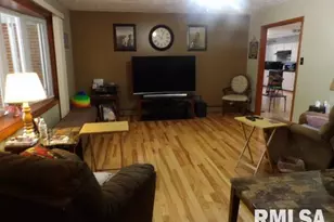 736 N Mill St, Carrier Mills, IL 62917 - Photo 6