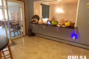 736 N Mill St, Carrier Mills, IL 62917 - Photo 12