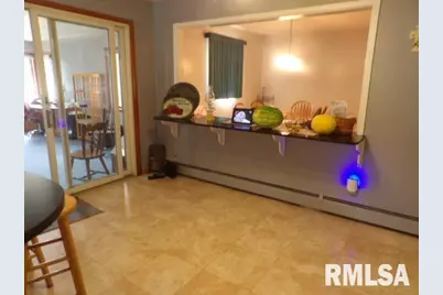 736 N Mill Street, Carrier Mills, IL 62917 - Photo 12