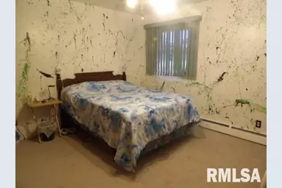 736 N Mill Street, Carrier Mills, IL 62917 - Photo 18